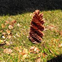 Rabea-H-nsch_Landart-3.2-.jpg