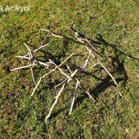 Acikyol.jpg