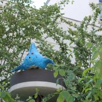 IMG_7067.jpg