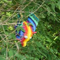IMG_9813.jpg