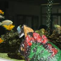 IMG_9851.jpg