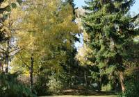 IMG_1700-EDITED.jpg
